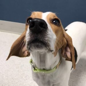 Meet your Posher, Addie